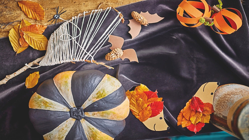 Fotoğraf: Tom Regester