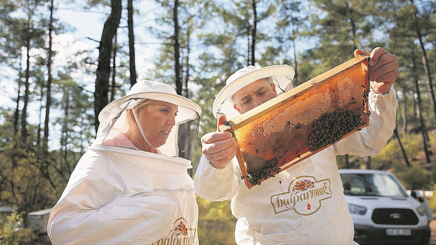 Türkiye’de 4 milyon kovan ile yılda yaklaşık 60 – 70 bin ton civarında bal üretimi gerçekleşiyor.
