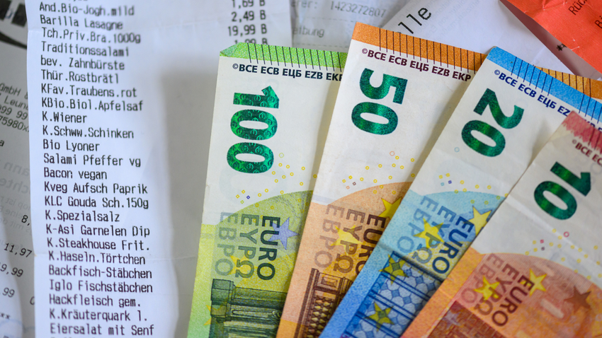 IMF, Almanya'nın çığır açan kararını övdü