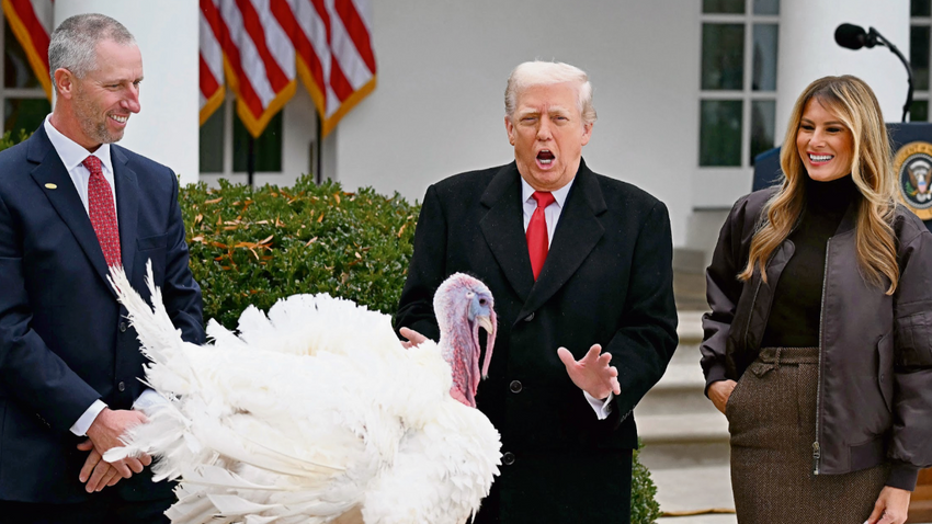 Trump, bu hafta bir ABD başkanlığı geleneğini yerine getirerek Şükran Günü yaklaşırken Beyaz Saray’ın bahçesinde bir hindiyi “affetti”. (Fotoğraf: Getty Images)