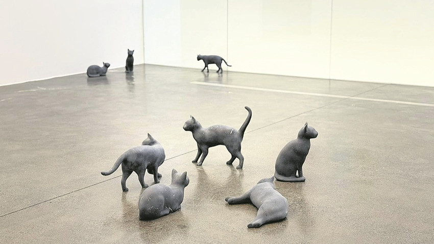 Sergideki kedilerin mekandaki konumlanışı ve kompozisyonu, gerçek kediler davranıyormuşçasına doğal.