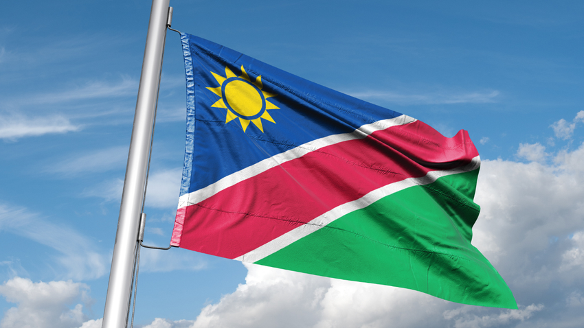 Namibya’da Adolf Hitler isimli siyasetçi seçimlerde zafer ilan etti