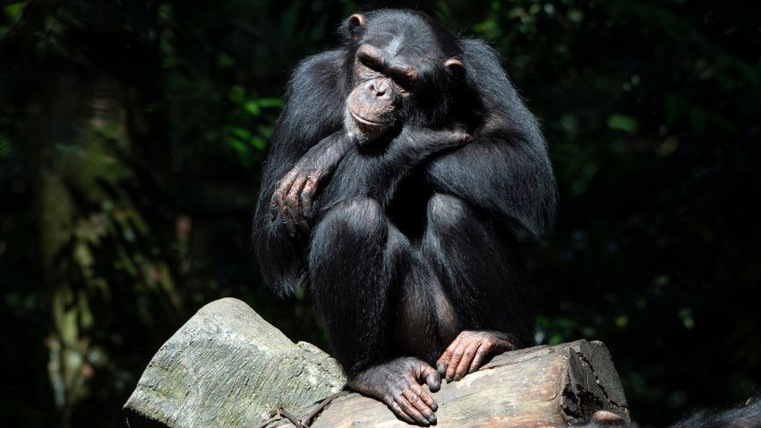 Fotoğraf: Shutterstock