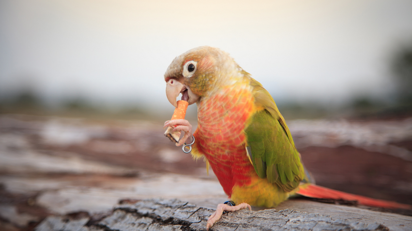 Fotoğraf: Shutterstock