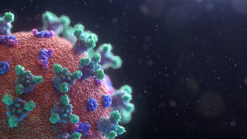 Koronavirüsün en tehlikeli 3 varyantı hakkında ne biliyoruz?