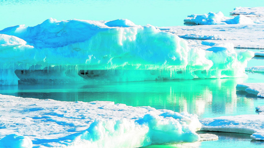 Kuzey Kutbu’nda dondu, 24 bin yıl sonra uyandı