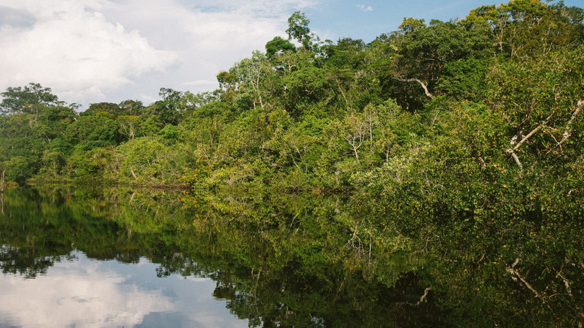 Amazonlar'da Manhattan'ın 7 katı orman yok oldu