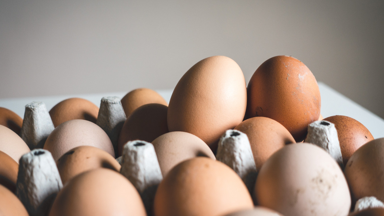 Yumurta fiyatlarında artış hız kesmiyor