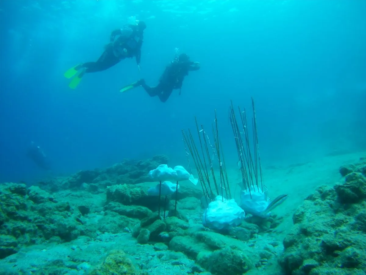 Muğla'da su altı sergisi ziyarete açıldı