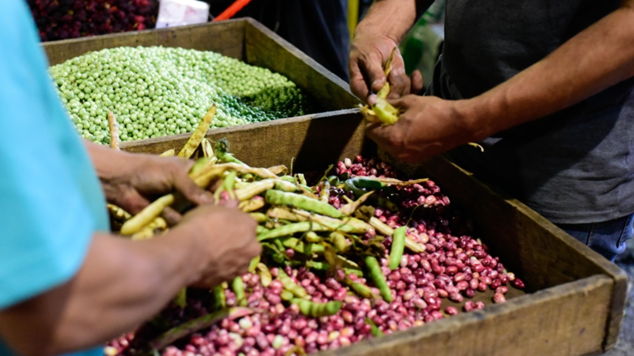 BM, geniş çaplı gıda krizine karşı uyardı