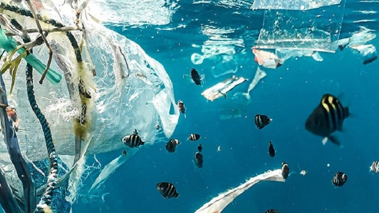 2050'de plastik miktarının ağırlığı balıkları geçecek