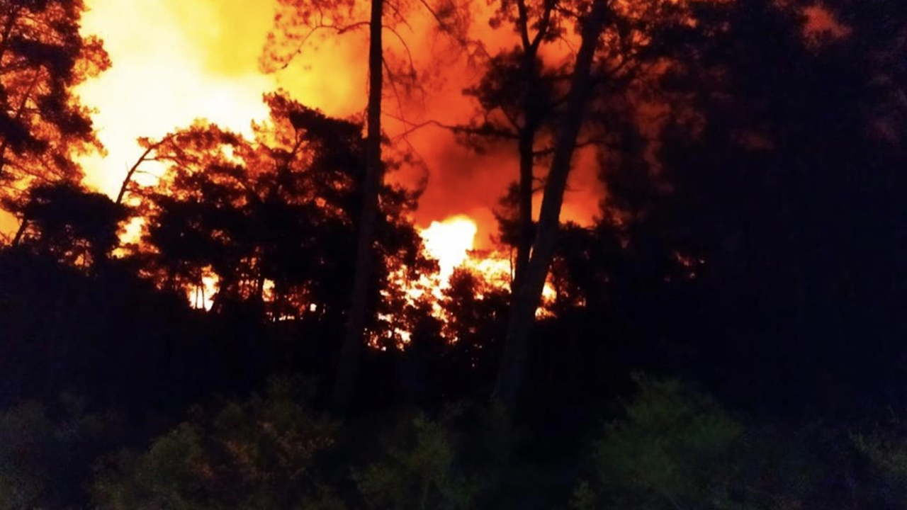 Marmaris Belediye Başkanı Oktay: “Yangına havadan müdahale şu anda yapılmıyor''