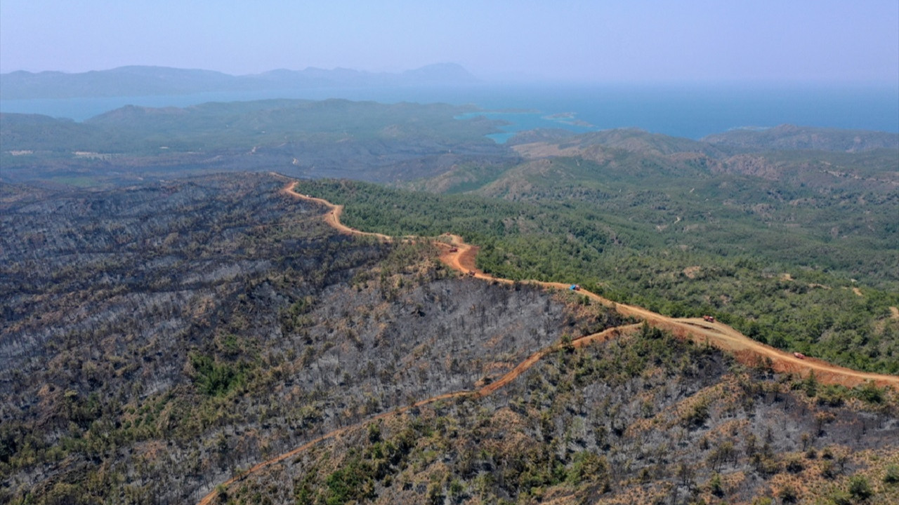 Marmaris'teki yangında 4 bin 500 hektarlık alan zarar gördü
