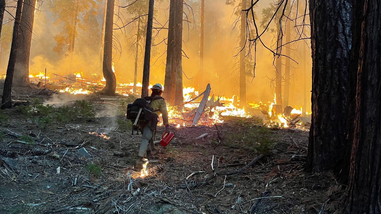 Yosemite Park'ta yangın: Bin yıllık sekoyalar tehdit altında