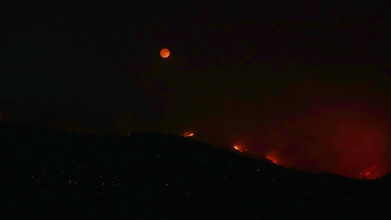 Datça'da orman yangını: 5 ev boşaltıldı