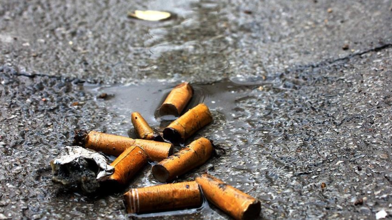 Kanada'da 10 milyondan fazla sigara toplatıldı