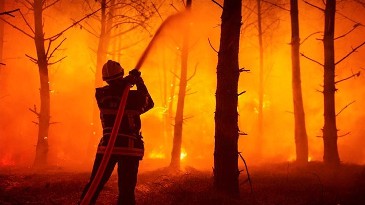 İtalya ve İspanya, orman yangınlarıyla mücadele ediyor