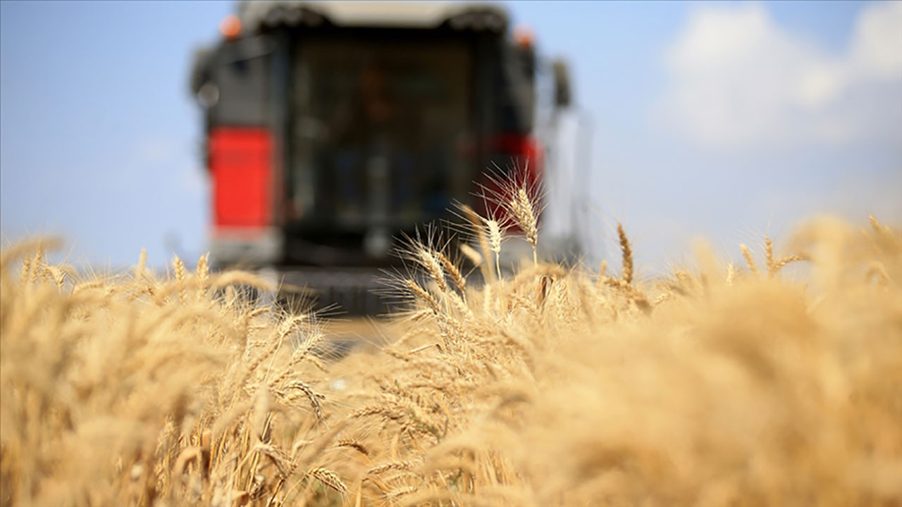 Yeni rekor: Tarım-ÜFE yıllık yüzde 157,89 arttı
