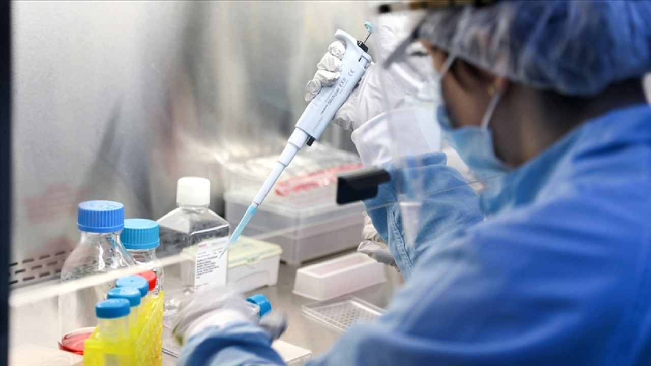Covid iddialarının merkezindeki Çin laboratuvarı farelerde yeni bir virüs tespit etti