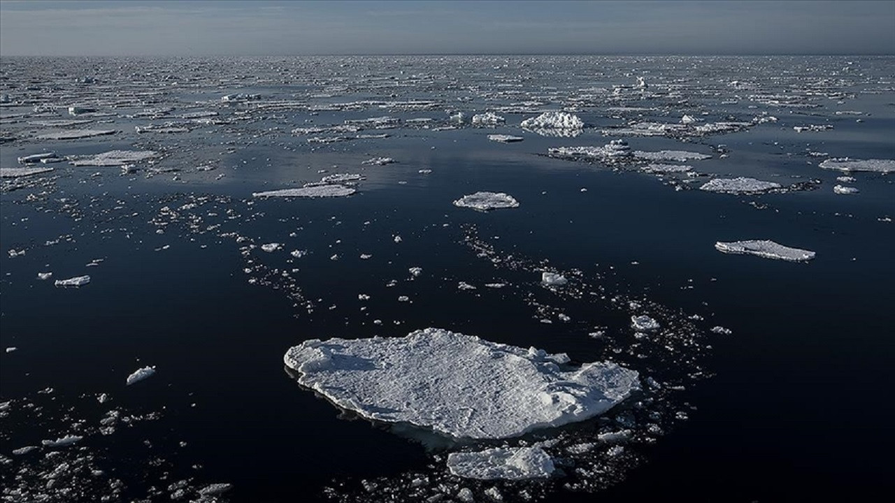 Araştırma: Kuzey Buz Denizi, diğer okyanuslardan 3 ila 4 kat daha hızlı asitleniyor