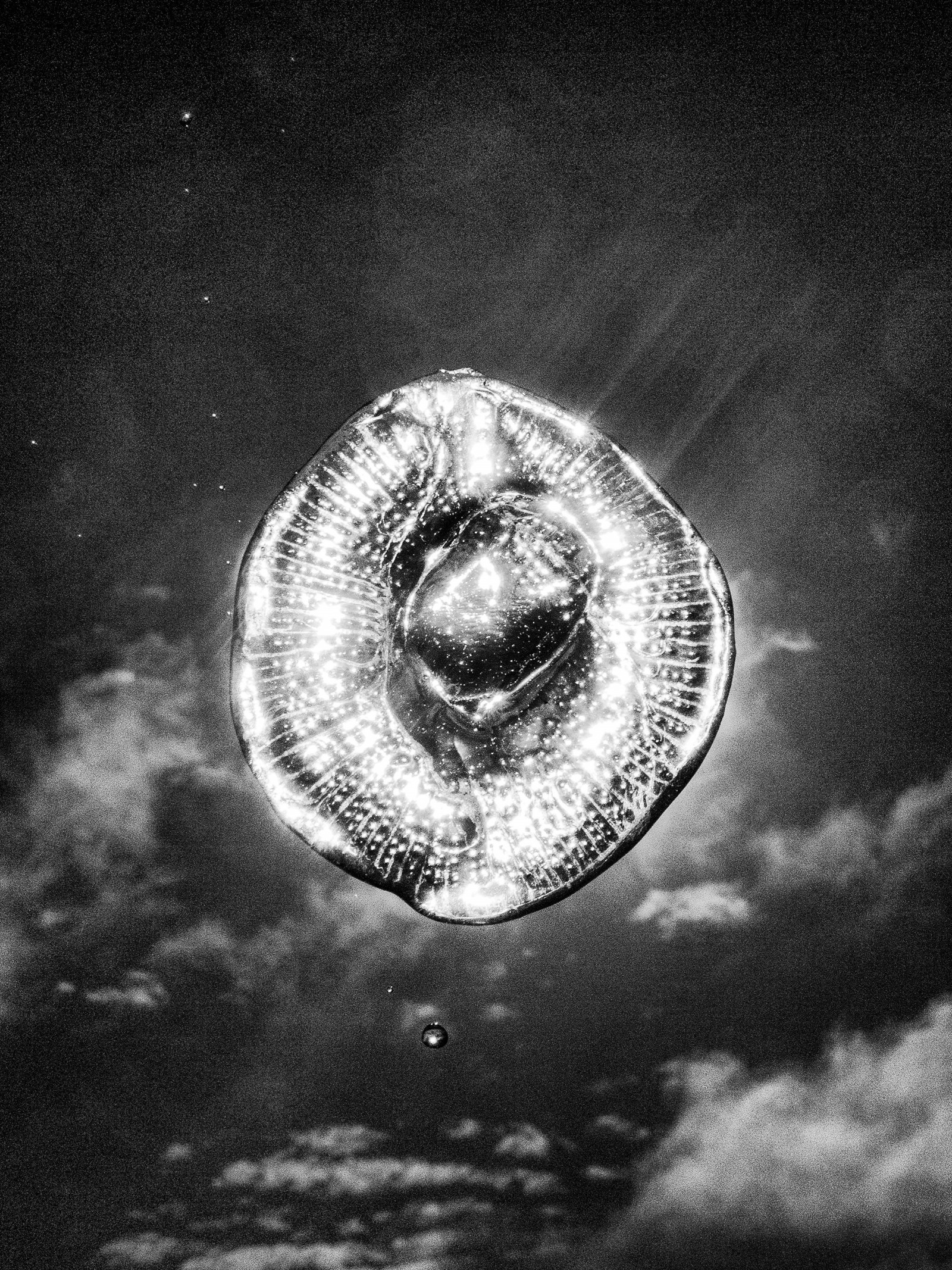 Devin Oktar Yalkın: Rüyalarımın silik kalıntılarını aktarmaya çalıştım