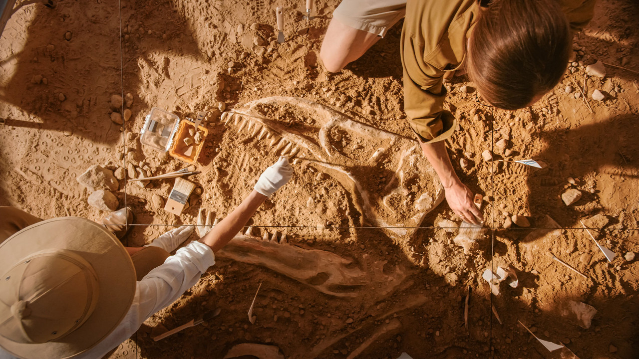 2022'nin tarihe ışık tutan arkeolojik keşifleri
