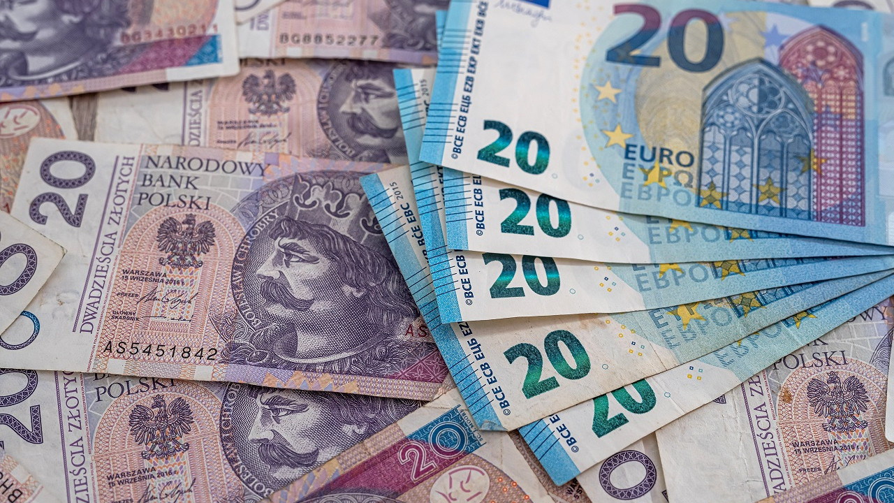 Polonya Merkez Bankası Başkanı: Euroya geçiş ülke için son derece zararlı olur