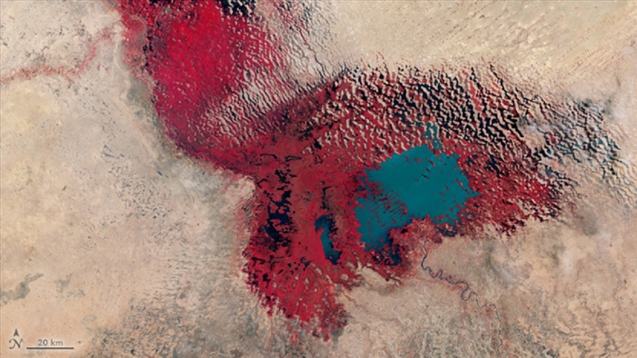 Afrika'da 30 milyon kişiye can suyu olan Çad Gölü giderek kuruyor