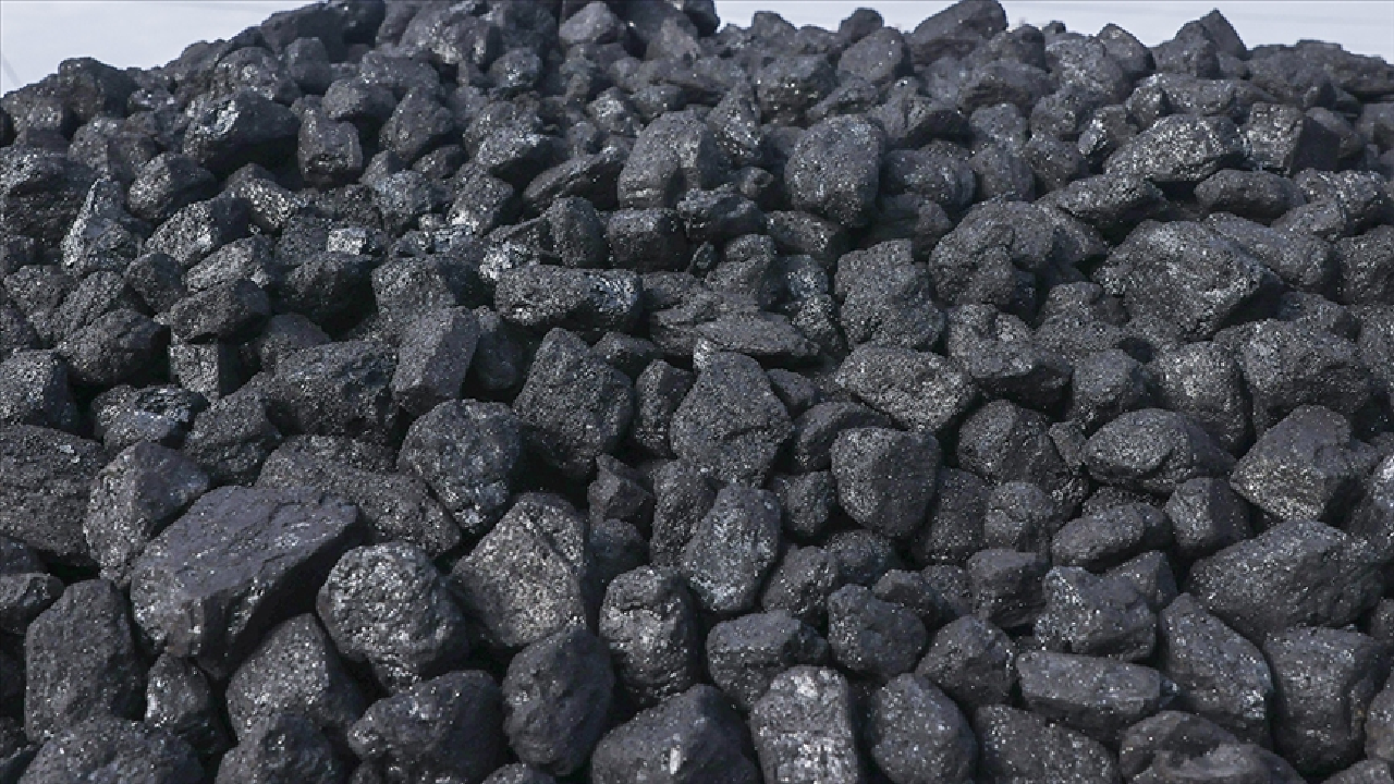 Rusya, yaptırımlara rağmen Almanya'nın en büyük kömür tedarikçisi oldu