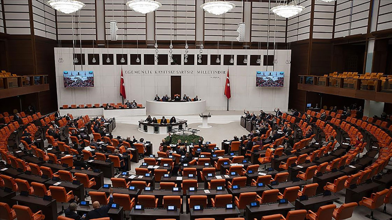 Türkiye'nin kadın istatistikleri: Milletvekili oranı yüzde 17,3