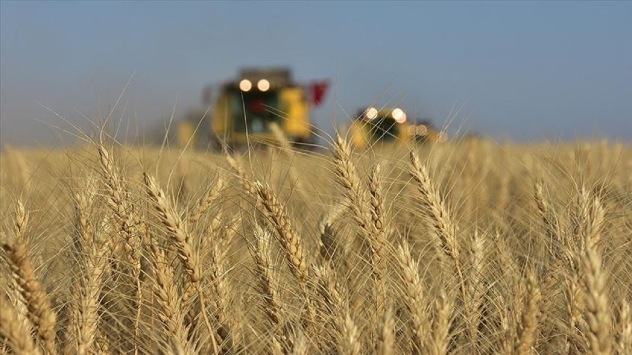 Tarım ÜFE haziranda aylık bazda yüzde 4,04 arttı