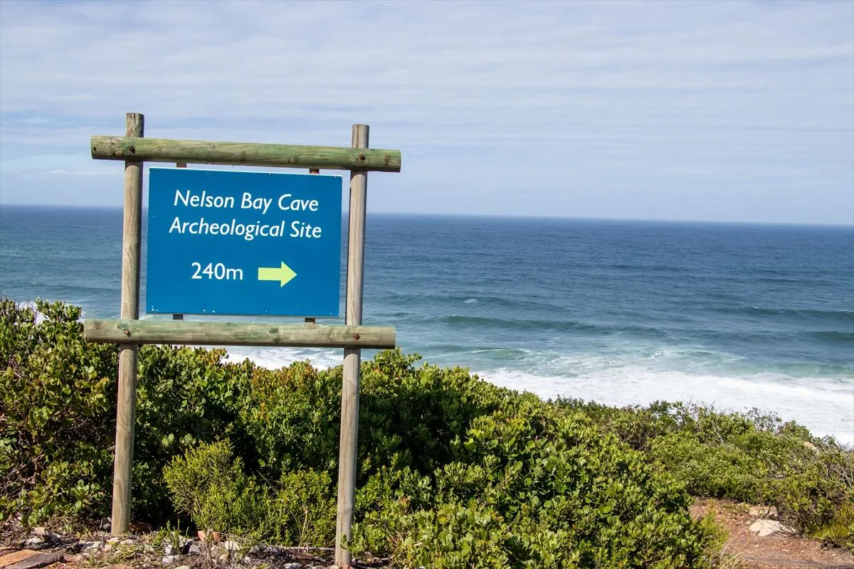 Afrika'nın güney kıyılarında bir doğa yolculuğu rotası: Garden Route