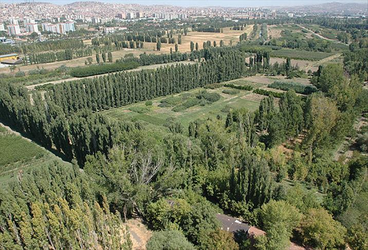 Fotoğraf: Atatürk Orman Çiftliği