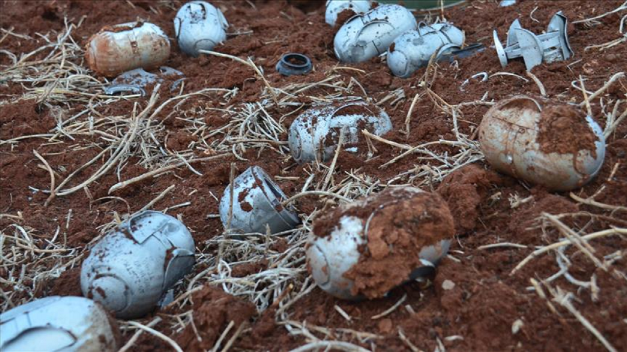 ABD'de Demokrat ve Cumhuriyetçiler birleşti: Ukrayna'ya misket bombası verilmemeli