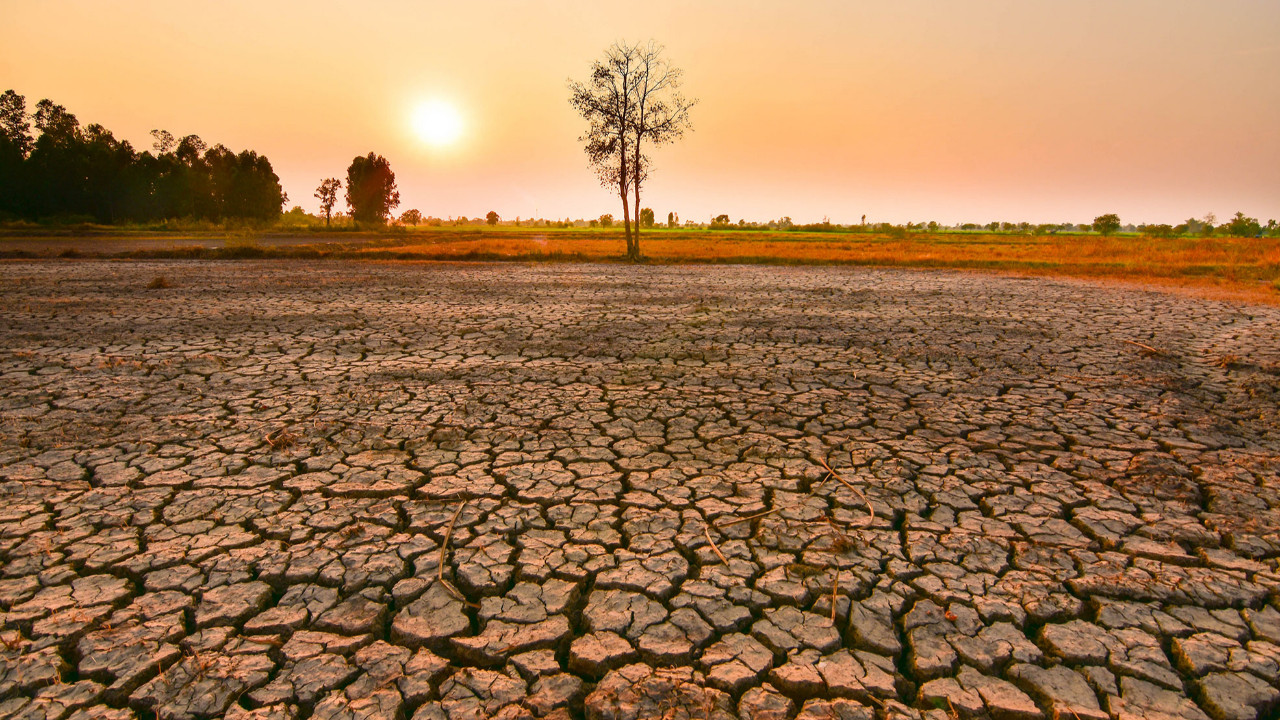 Tarıma ve gıdaya El Nino tehdidi
