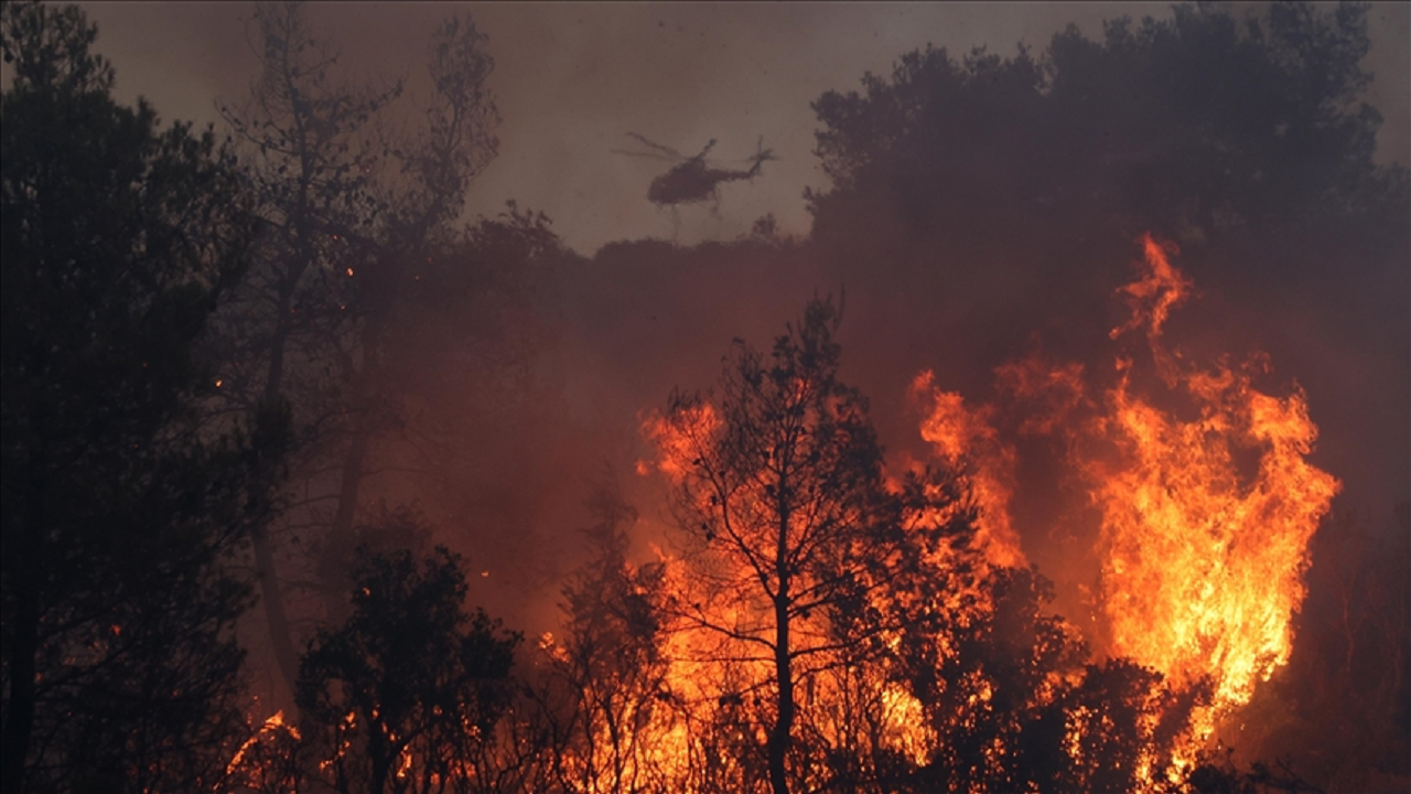 Yunanistan'ın Korfu Adası'nda orman yangını çıktı