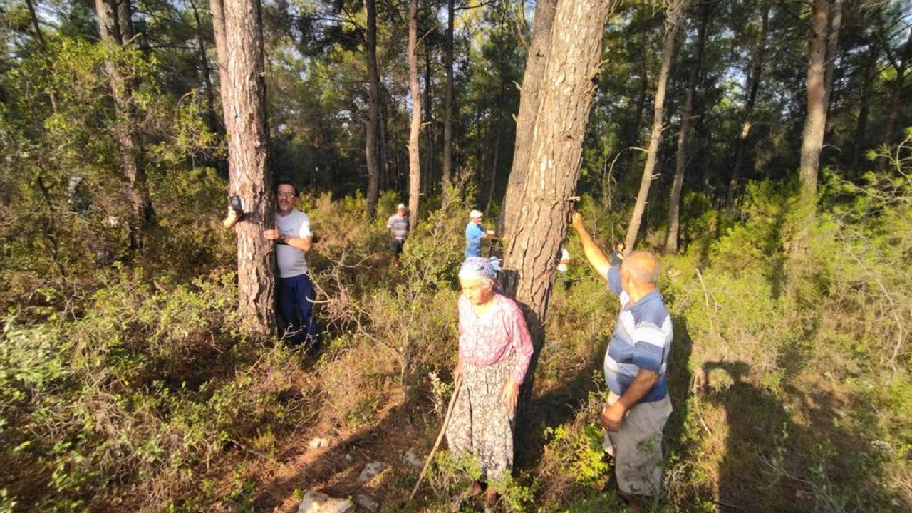 Akbelen Ormanı'nda ağaç nöbeti: Kesim alanına giren İkizköylüleri jandarma çıkardı