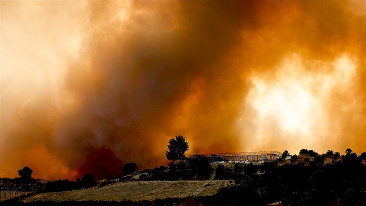 Orman yangınları atmosferdeki karbondioksit emisyonunu artırıyor