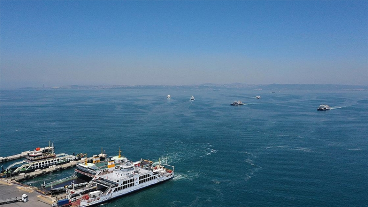 Marmara Denizi'ndeki insan kaynaklı baskı unsurları canlı türlerini tehdit ediyor