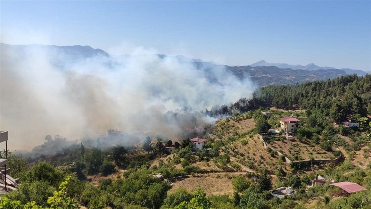 Tarım ve Orman Bakanı: Bu yıl bin 22 yangında 6 bin 900 hektar alan zarar gördü