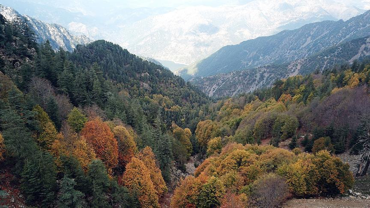 Dağ ekosisteminin ısınması ormanlara, tarıma ve dağ buzullarına tehdit oluşturuyor