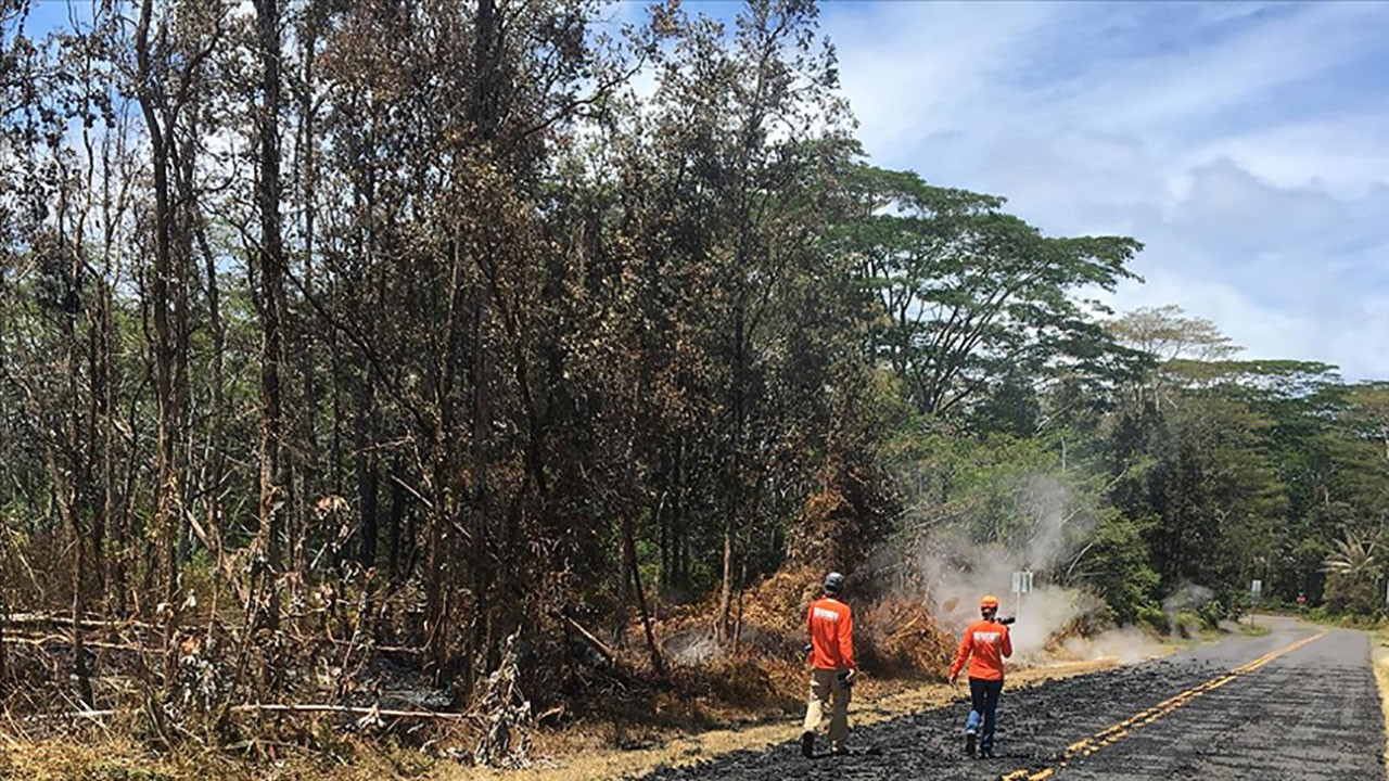 Hawaii'de orman yangınları: 36 kişi öldü