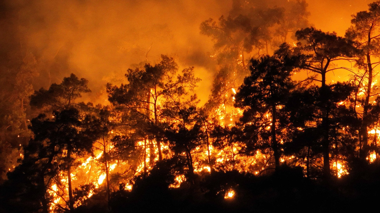 İklim değişikliği Türkiye'nin kuzey bölgelerinde orman yangını riskini artırıyor