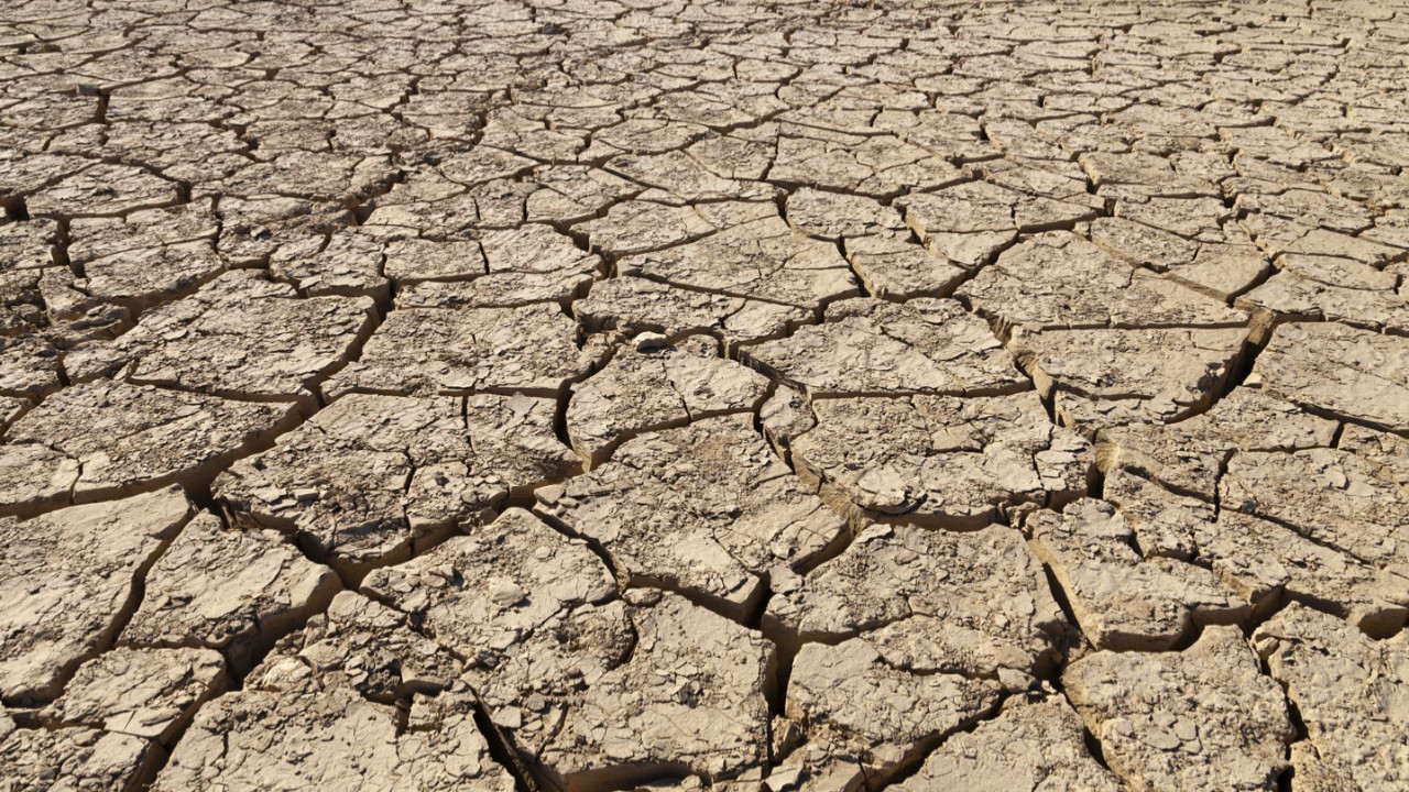 Küresel ısınma İran'ı kuruttu: Her yıl yaklaşık 1,5 milyon hektar alan çölleşiyor