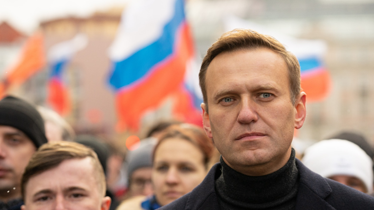 Aleksey Navalni Kutup Kurdu kolonisinde