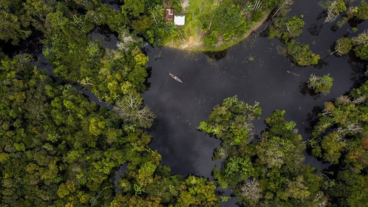 2023'te Amazonlar'da yaşanan kuraklığın öncül nedeni küresel ısınma