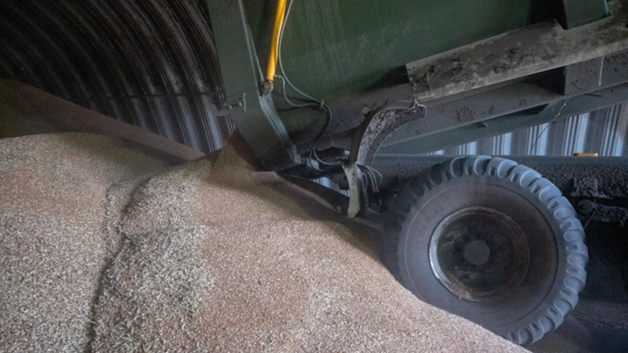 Polonyalı çiftçiler 160 ton buğdayı yere döktü, Ukrayna tepki gösterdi