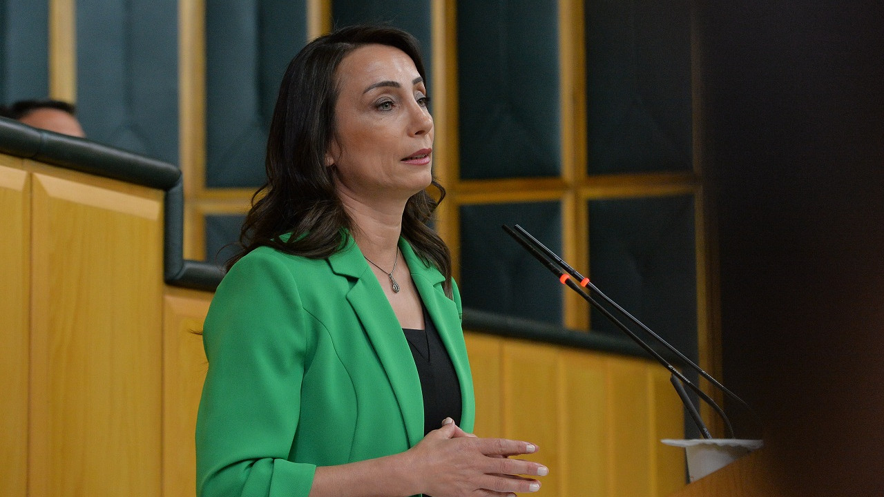 DEM Parti Eş Genel Başkanı Hatimoğulları: Türkiye derhal erken seçime gitmeli
