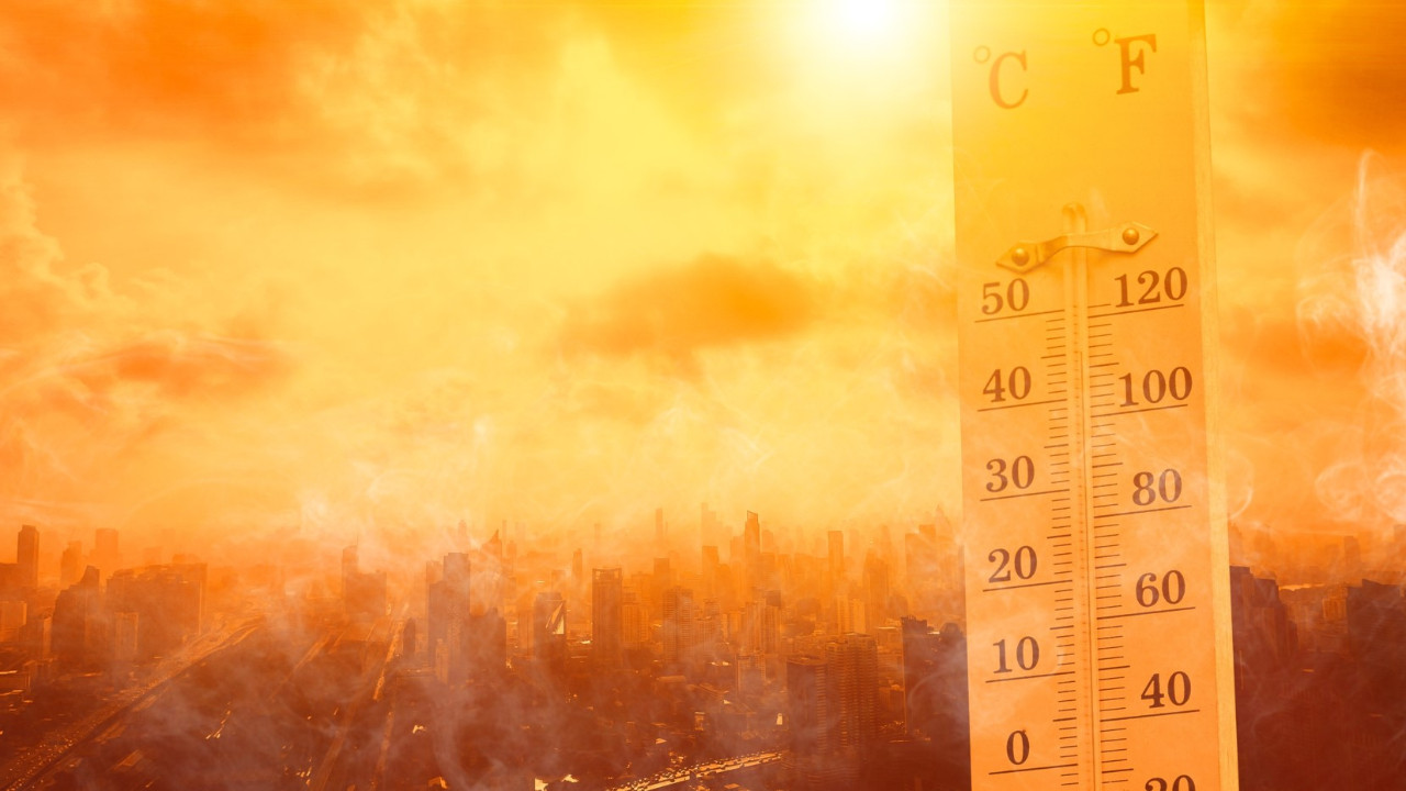 Aşırı sıcaklar dünyayı kavuruyor: Ölümler hızla artıyor
