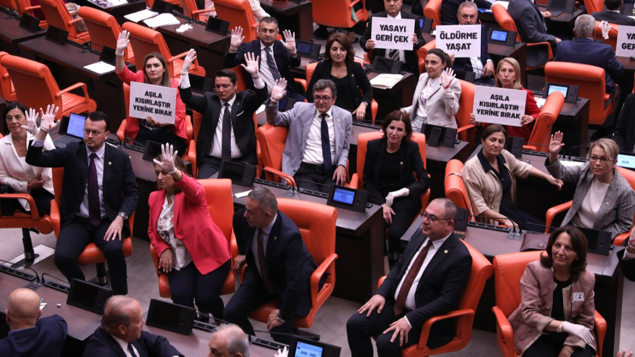 Sokak hayvanları yasa tasarısı Genel Kurul’da: Milletvekillerinden kırmızı boyalı eldivenlerle protesto